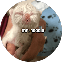Taylor Strukoff profile picture